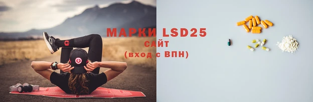 прущие грибы Нефтегорск