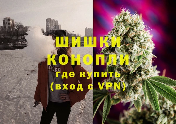 PSILOCYBIN Нея