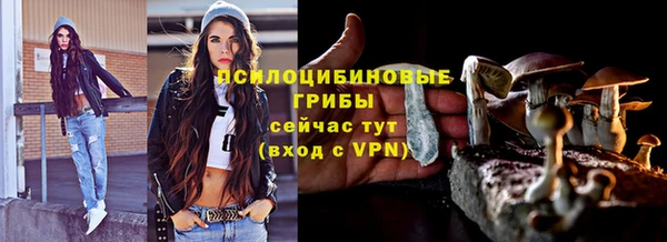 прущие грибы Нефтегорск