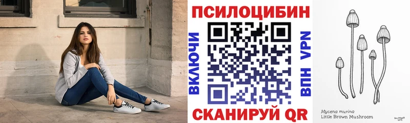 Галлюциногенные грибы Psilocybine cubensis  MEGA сайт  Североморск 